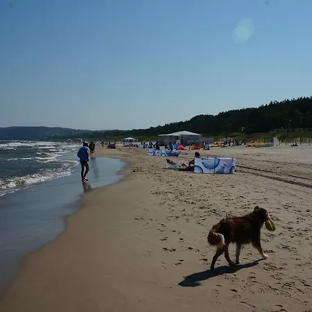 Aquamarina Marina Invest